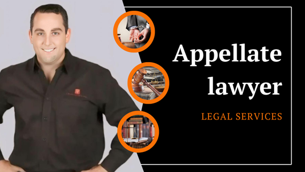 Why You Should Hire a Law Firm for Representation in Appeal Courtssss